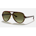 Ray Ban RB4125 CATS 5000 710/A6 59
