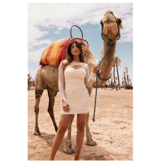 Unique the Label ALINA MESH DRESS CREME