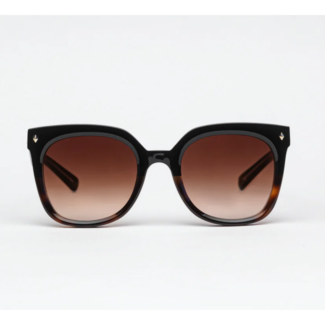 JOHN DALIA MONICA C145