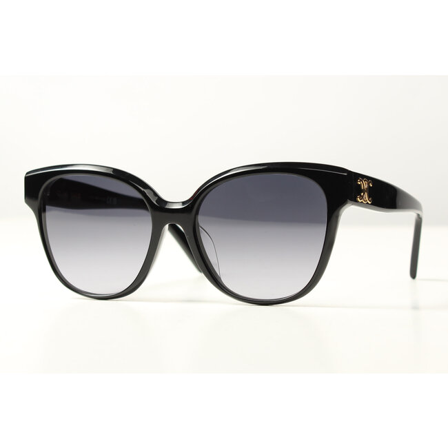 Celine CL40204F 01W 58 BLACK