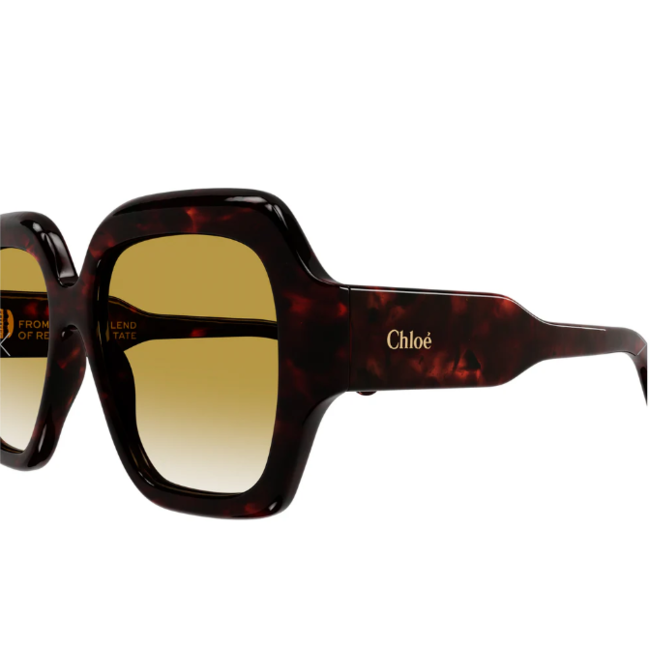 Chloé CH0154S 002 56