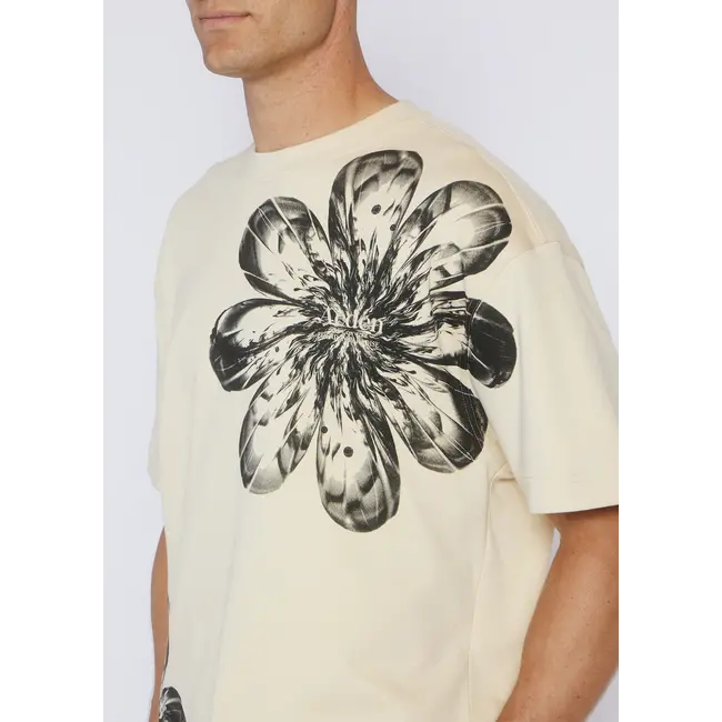 AEDEN CARSON SUMMER SAND