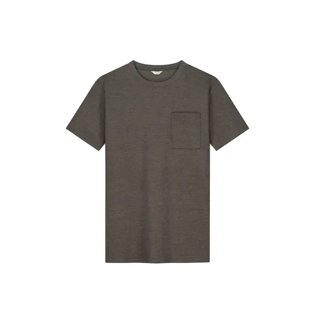 Dstrezzed EBBE T-SHIRT BOXY FIT DRIFT WOOD