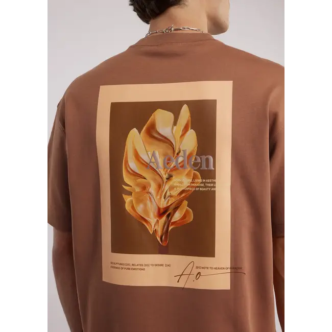 AEDEN MORPH TEE MOCCA MOUSSE