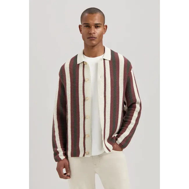 Dstrezzed PAR VEST MARRON