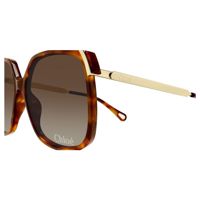 Chloé CH0286S 002 60