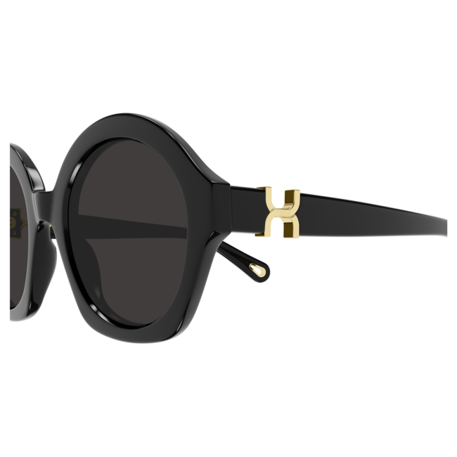 Chloé CH0302S 001 53