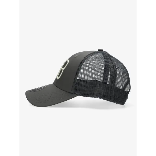 AB Lifestyle RETRO TRUCKER CAP CHARCOAL/DESERT SAGE