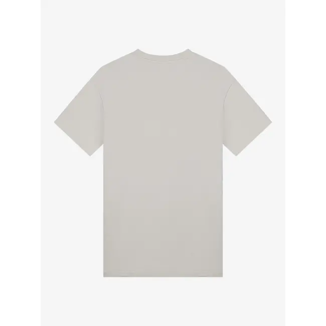 AB Lifestyle REGULAR FIT TEE LIMESTONE