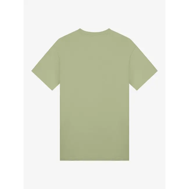 AB Lifestyle REGULAR FIT TEE DESERT SAGE