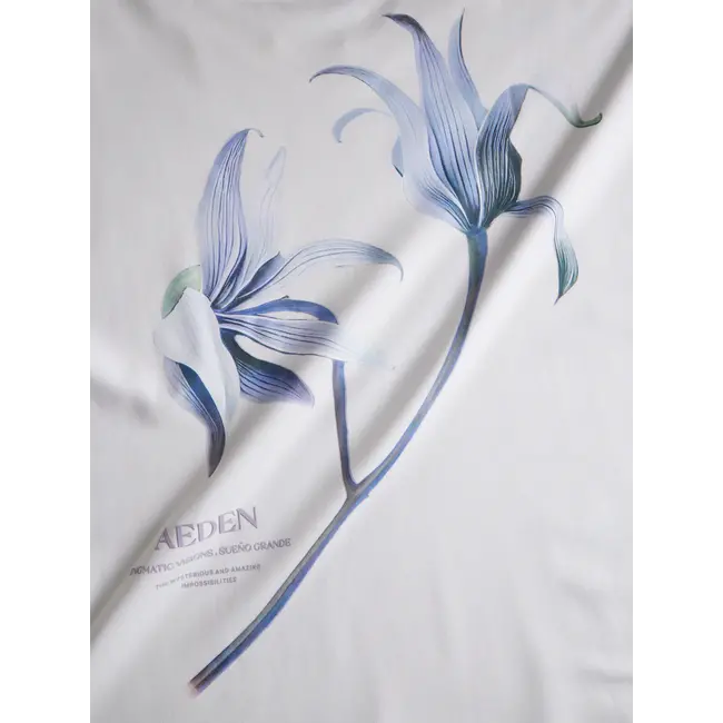 AEDEN MISTY TEE OFF WHITE