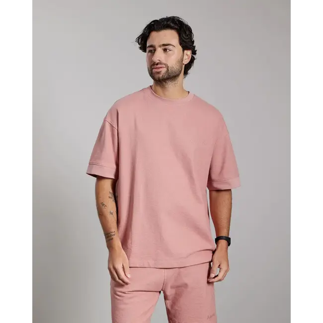 AEDEN JORDAN TEE ASH ROSE