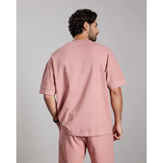 AEDEN JORDAN TEE ASH ROSE