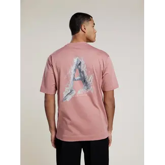 AEDEN JOVENCIO TEE ASH ROSE