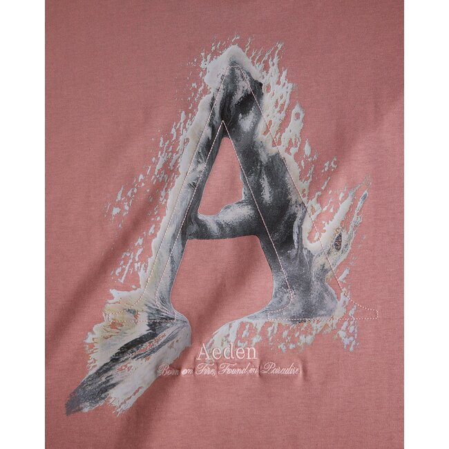 AEDEN JOVENCIO TEE ASH ROSE