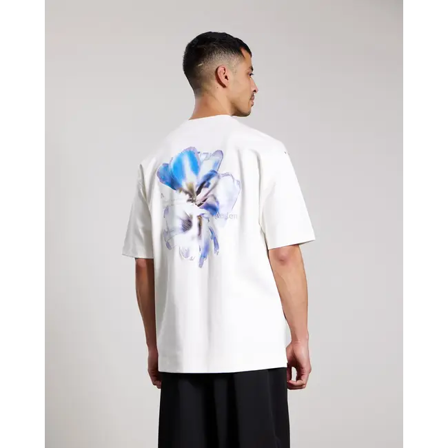 AEDEN FAME TEE OFF WHITE