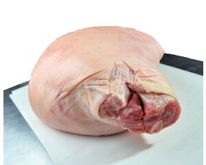 Yorkshire White Achterbout