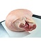 Yorkshire White Pork Leg with rind (ca.7500-8500gr)