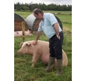 Beef & Steak Over Yorkshire White