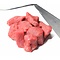 Aberdeen Angus Tenderloin Tips