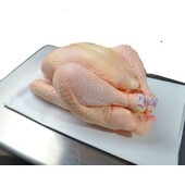 Gildehoen ganzes Huhn