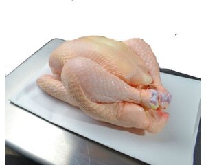 Gildehoen Hele Kip