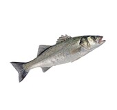 Vis en Seafood Zeebaars