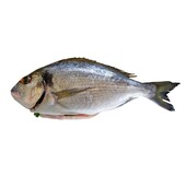 Vis en Seafood Dorade