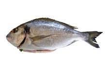 Vis en Seafood Dorade