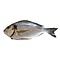 Vis en Seafood Dorade