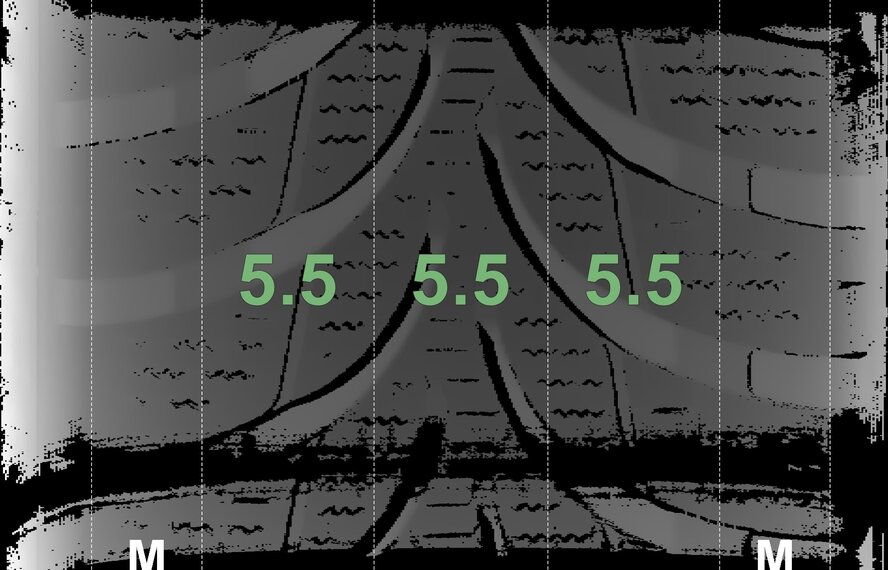 BMW BMW i3 I01 428 19 inch rims Bridgestone Winter tires Original