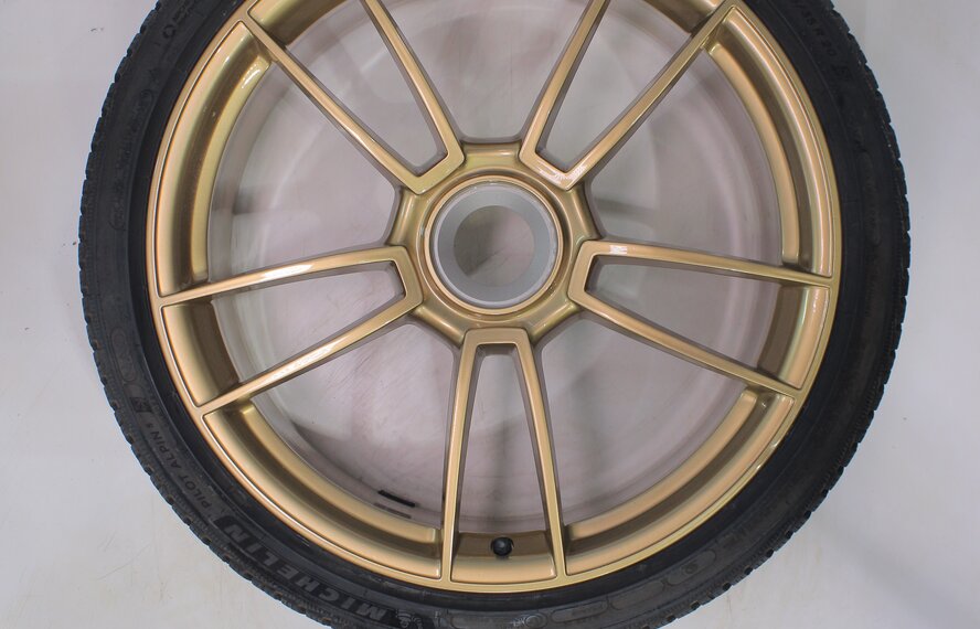 Porsche Porsche 911 992.1 GTS 20 & 21 inch wheels Michelin Winter Tires Original