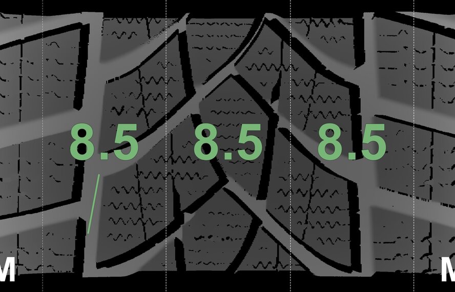 Audi Audi Q3 SQ3 F3B 19 inch rims Goodyear winter tires Original