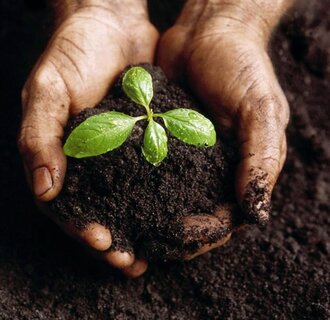 Compost los gestort - per m3, Gratis verzending