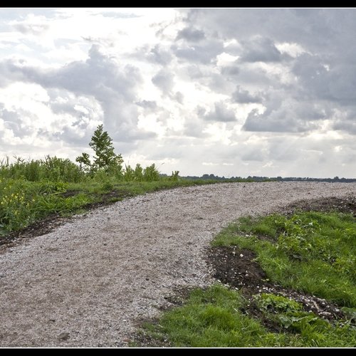 Kleischelpen Los gestort