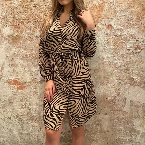 Sisters Point Bamboo/Zebra dress