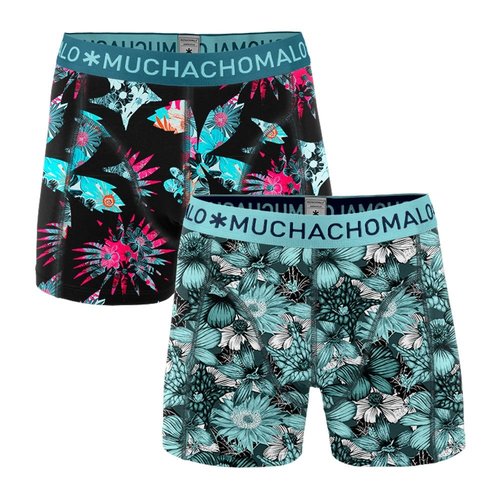 Muchachomalo 2 pack Xplant 04