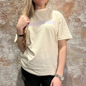 Josh V Teddy Extraordinary Chalk