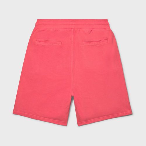 Equalité Piere Shorts Washed Coral