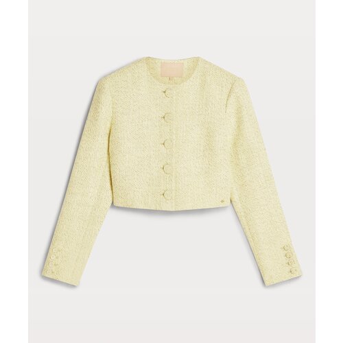 JoshV Remi Jacket Pistachio Gold Glitter