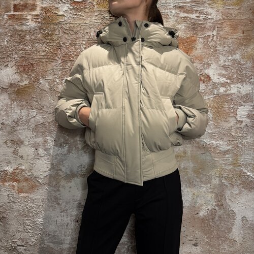 Airforce Bex Bomber Taupe Plaza