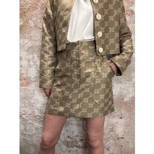 Josh V Hava Skirt  Mink