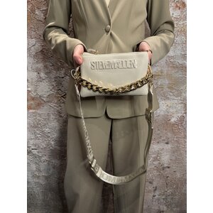 Steve Madden Bnicco Bag Bone