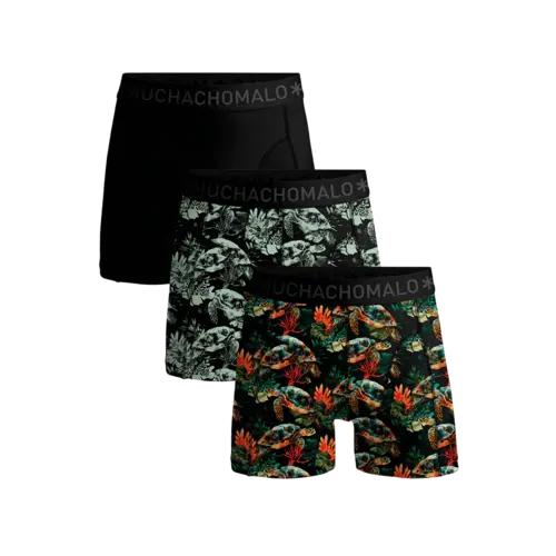 Muchachomalo 3 Pack Turtle
