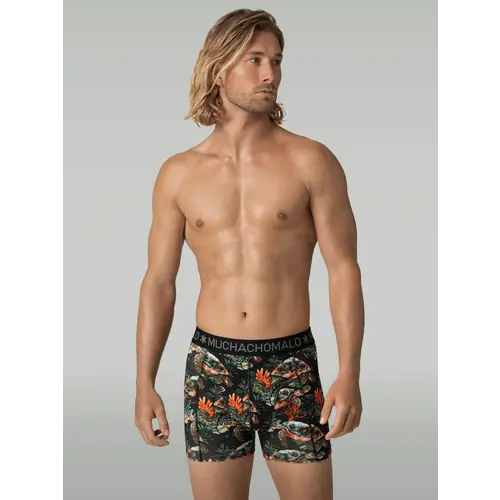 Muchachomalo 3 Pack Turtle