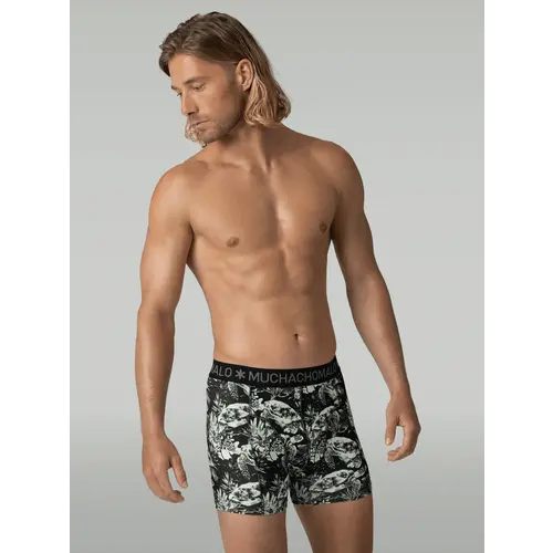 Muchachomalo 3 Pack Turtle
