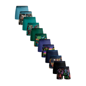 Muchachomalo 12 Pack Golden 1010-19