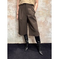 Great Shorts Brown