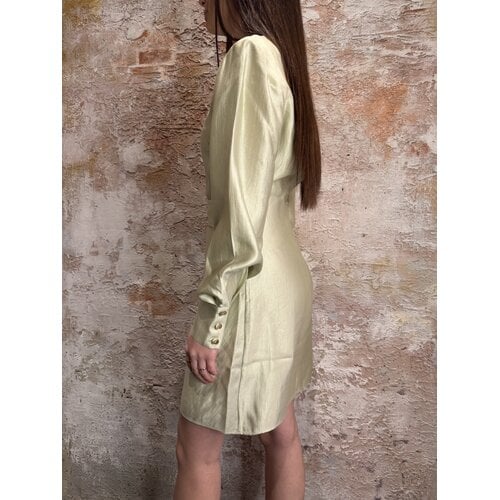 Nikkie Porlamar Dress Aloe Vera