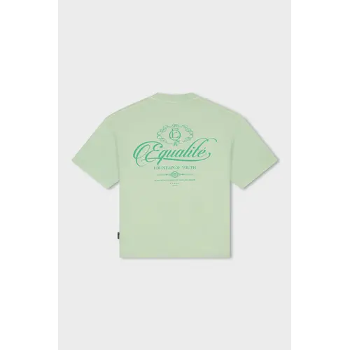 Equalité Yuki Boxy Tee Light Green